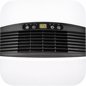 ChatGPT Image Jan 19, 2026, 09_54_07 AM