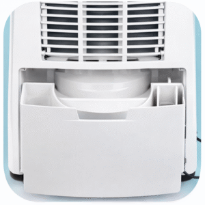 ChatGPT Image Jan 19, 2026, 09_55_57 AM