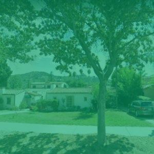 PVC ירוק שקוף לגלריה 4