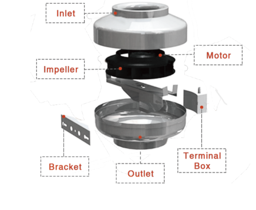 טיאסקיי1 e1747820014286