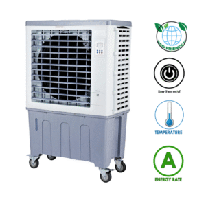 עותק של עותק של דגכעדעגכדע (3)