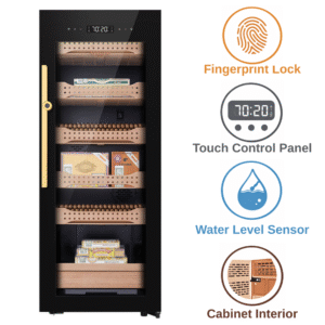 B4 תמונה מקדימה