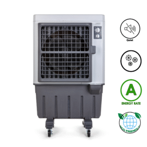 עיצוב ללא שם